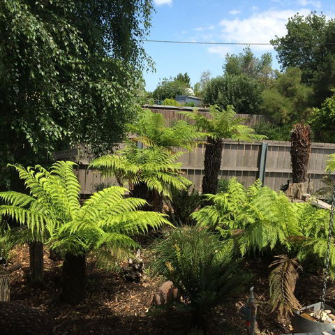 Pinestumps Holiday Home - Darwin Holiday 14