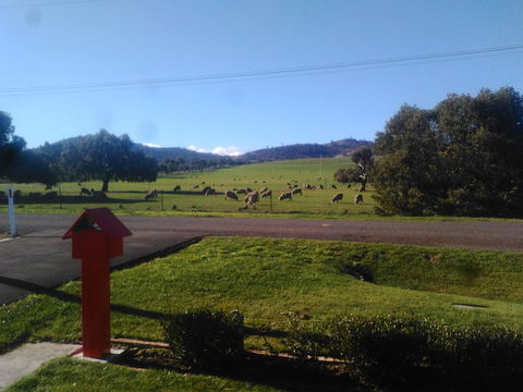 Pinestumps Holiday Home - Darwin Holiday 11