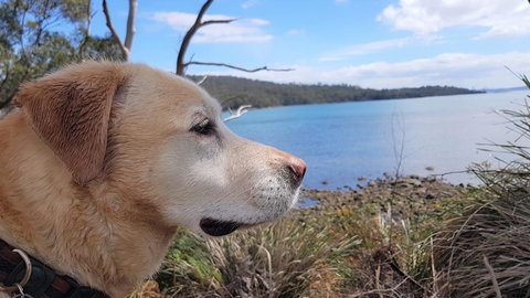 Four Seasons Waterfront Villas - Darwin Holiday 35