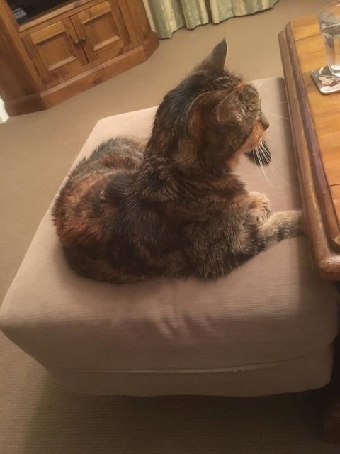 House On The Hill Bed And Breakfast - Darwin Holiday 13