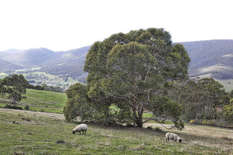 House On The Hill Bed And Breakfast - Darwin Holiday 16