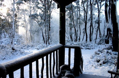 Cradle Mountain Love Shack - Darwin Holiday 8