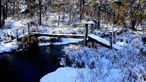 Cradle Mountain Love Shack - Darwin Holiday 10