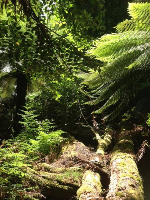 Sheer Pleasure Accommodation - Darwin Holiday 25