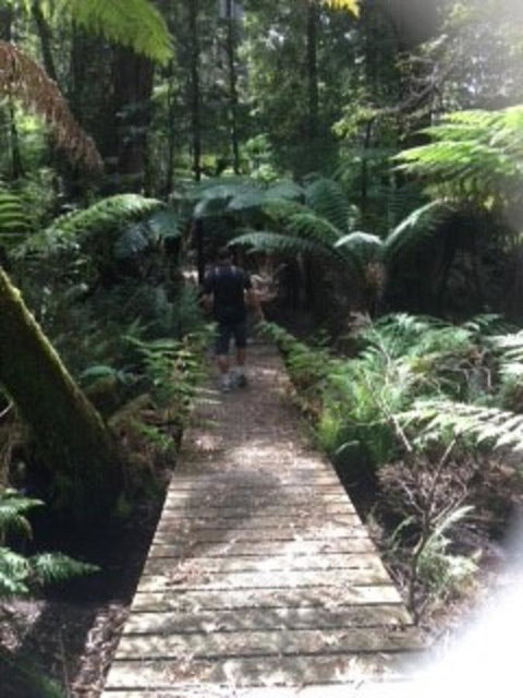 Sheer Pleasure Accommodation - Darwin Holiday 23