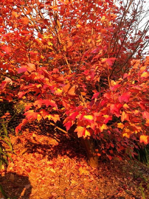 Sheer Pleasure Accommodation - Darwin Holiday 26