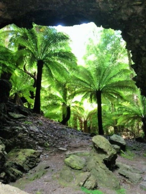 Sheer Pleasure Accommodation - Darwin Holiday 22