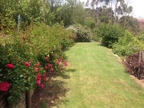 Sheer Pleasure Accommodation - Darwin Holiday 7