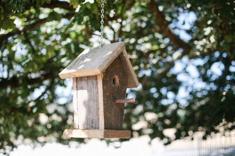 Old White Church Bed & Breakfast - Darwin Holiday 31