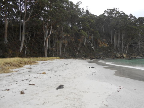 Bruny Ocean Cottage - Darwin Holiday 12
