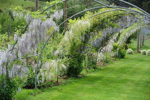Hamlet Downs Country Accommodation - Darwin Holiday 17