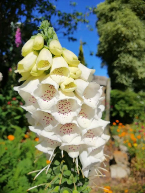 Hamlet Downs Country Accommodation - Darwin Holiday 9