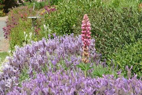 Hamlet Downs Country Accommodation - Darwin Holiday 22