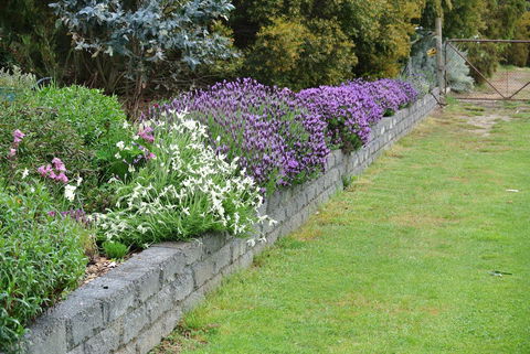 Hamlet Downs Country Accommodation - Darwin Holiday 14