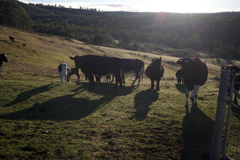 Hamlet Downs Country Accommodation - Darwin Holiday 24