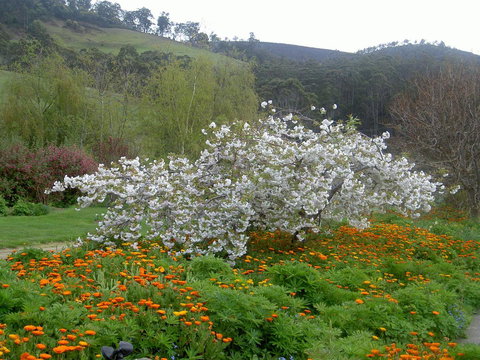 Hamlet Downs Country Accommodation - Darwin Holiday 13