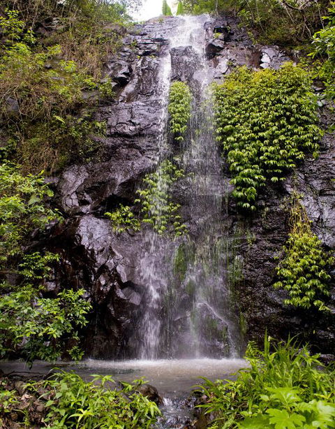 Nimbin Waterfall Retreat - Darwin Holiday 3