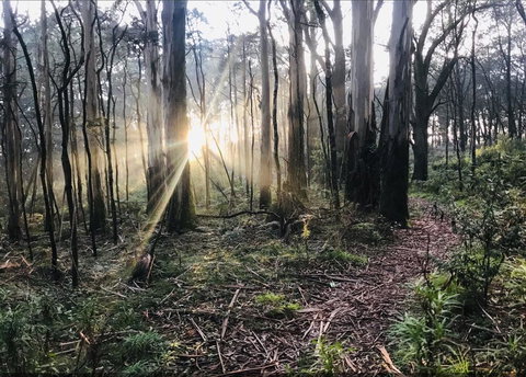 Northfield Boutique Apartments - Darwin Holiday 2