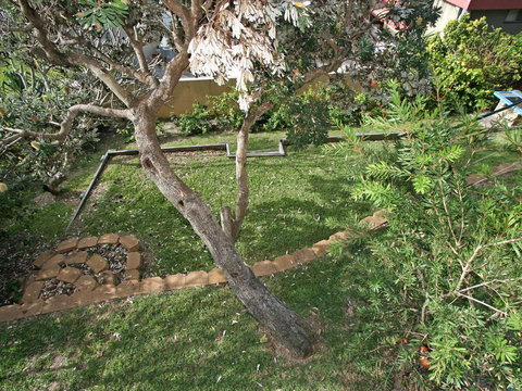 Now And Then 1/42 Clarence Street - Darwin Holiday 3