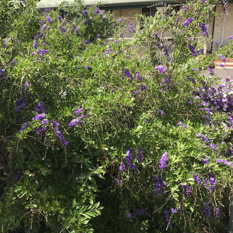 Oasis Motel - Darwin Holiday 3