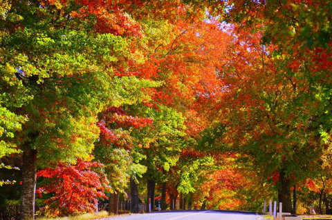 Oasis On Marsh - Darwin Holiday 2