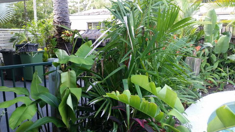 Oasis On Nautilus - Darwin Holiday 3