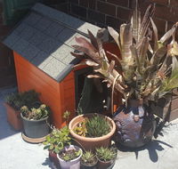 Orange Grove Hotel - Darwin Holiday