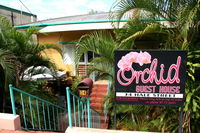Orchid Guest House