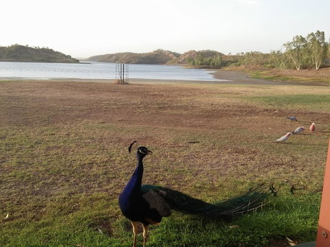 Overlander Hotel - Darwin Holiday 2