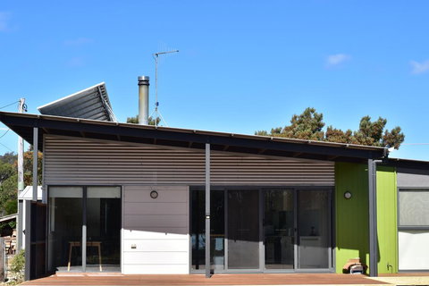 Oystercatcher - On The Banks Of The Lagoon - Darwin Holiday 3