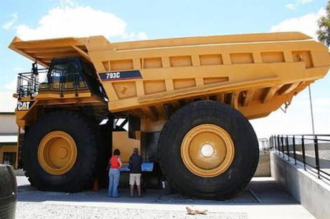 Paddys Golden Patch - Darwin Holiday 0