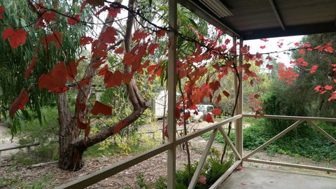 Padthaway Caravan Park - Darwin Holiday 1