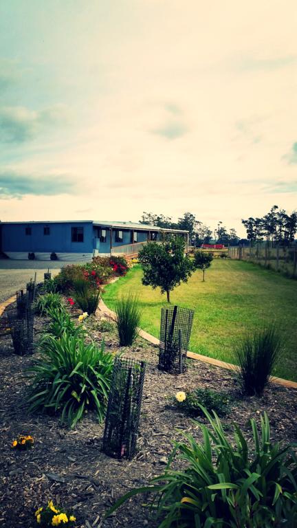 Peace At Paradise - Darwin Holiday 3