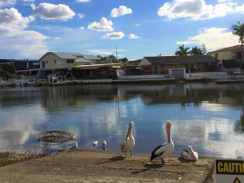 Pelican Cove Apartments - Darwin Holiday 0