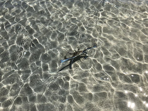 Peppermint Grove Beach Holiday Park - Darwin Holiday 1