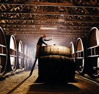 Pieter van Gent Winery  Vineyard - Darwin Holiday