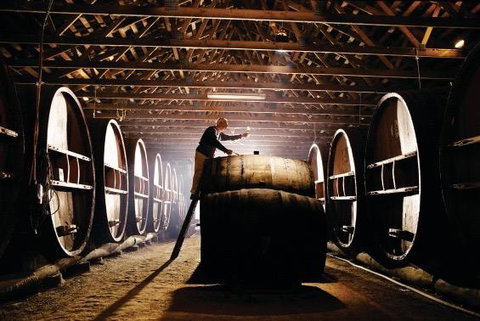 Pieter Van Gent Winery & Vineyard - Darwin Holiday 0