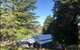Pine Hill Cottage Acreage In Nature Trees Views Mid Katoomba Leura - thumb 0