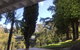 Pine Hill Cottage Acreage In Nature Trees Views Mid Katoomba Leura - thumb 3
