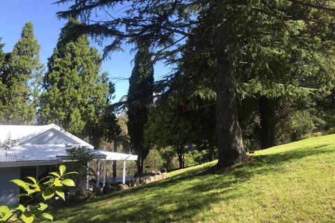 Pine Hill Cottage Acreage In Nature Trees Views Mid Katoomba Leura - Darwin Holiday 1