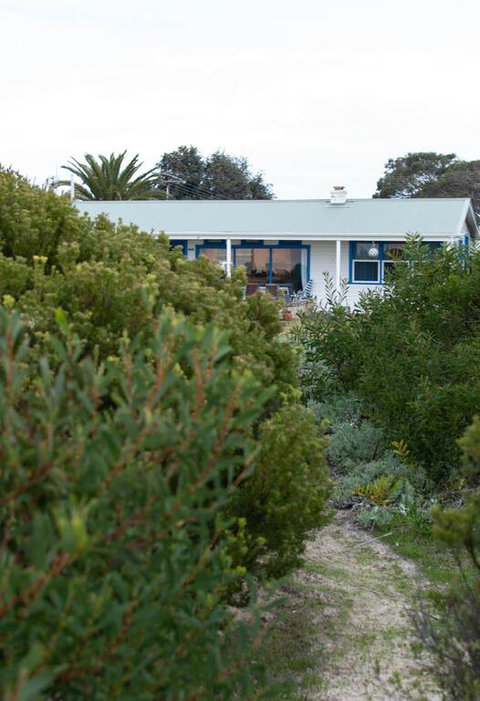Polperro, A Quintessential Seaside Experience - Darwin Holiday 3