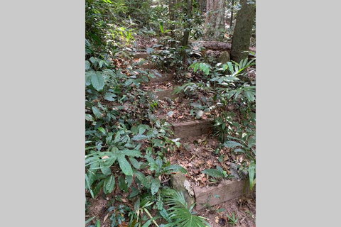 Private Rainforest Retreat With Lagoon Style Pool - Darwin Holiday 2