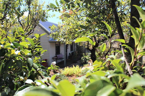 Quince Cottage - Darwin Holiday 2