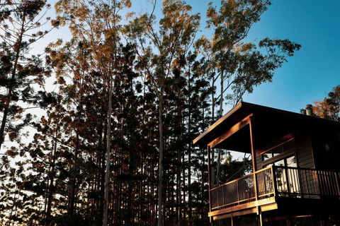 Rainforest Gardens - Luxury Hillside Chalets With Views To Bay & Islands - Darwin Holiday 2