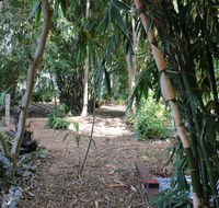 Rainforest Water Front River Shack Secluded. - Darwin Holiday