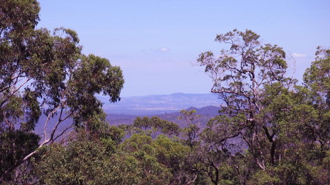 Ravensbourne Escape - Cedar Lodge - Darwin Holiday 0