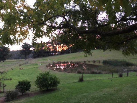 Raynella Alpaca Farmstay - Darwin Holiday 2