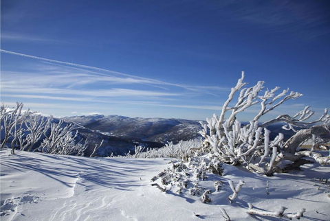 Razorback 12/1 Gippsland Street - Darwin Holiday 3