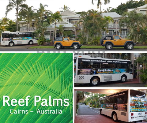 Reef Palms - Darwin Holiday 1