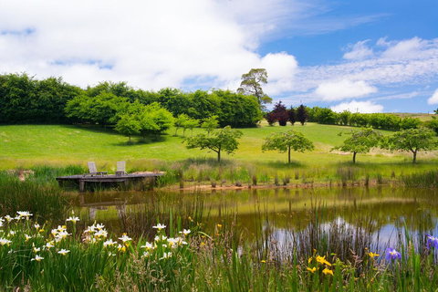 Reverie 101 - Darwin Holiday 2